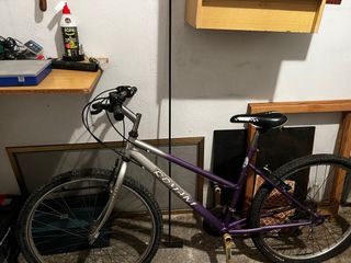Bicicleta infantil morada