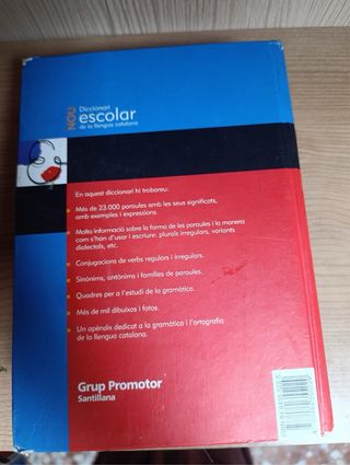 Diccionario Escolar de la llengua Catalana