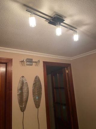 Lámpara de techo y decoración hojas