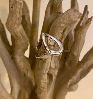 Anillo Vega
