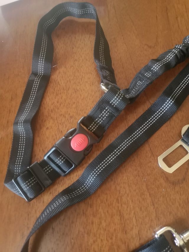 Set sicurezza cane per auto