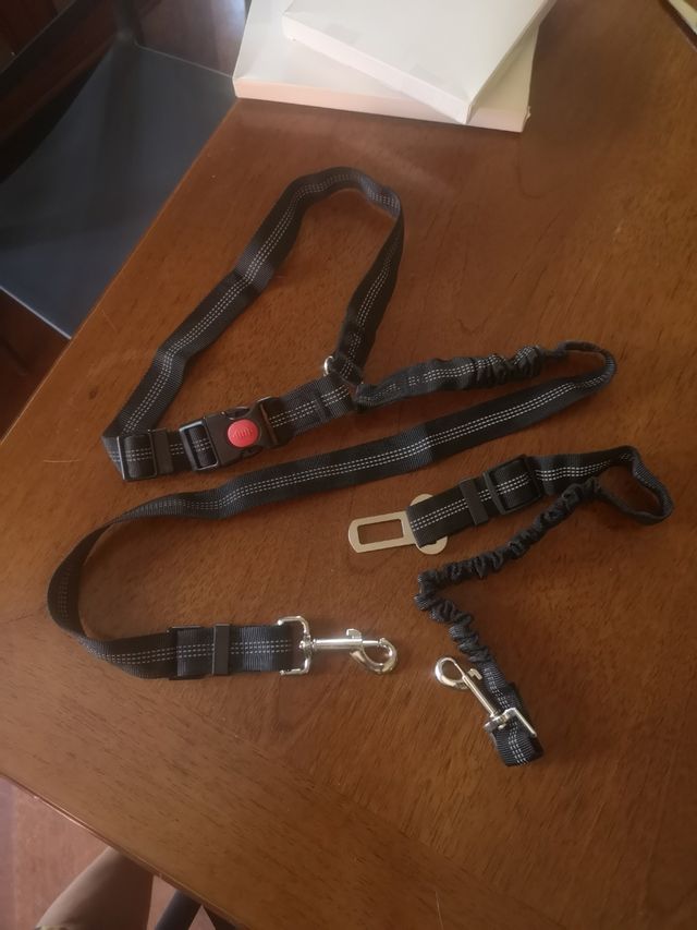 Set sicurezza cane per auto