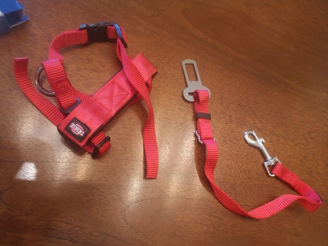 Set cinturone auto Trixie per gatti