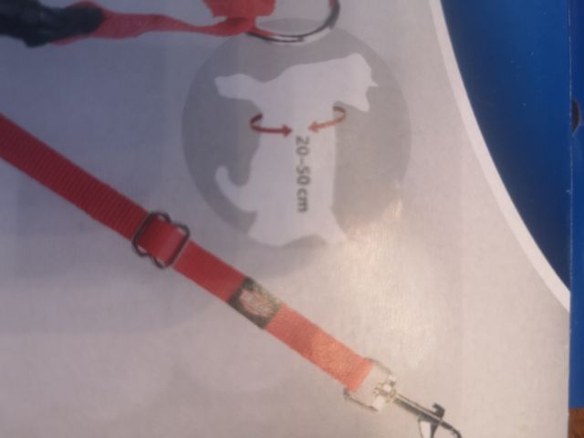 Set cinturone auto Trixie per gatti