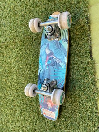 Skate Penny Board