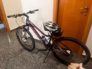 Bicicleta Giant Mountain Bike Morada