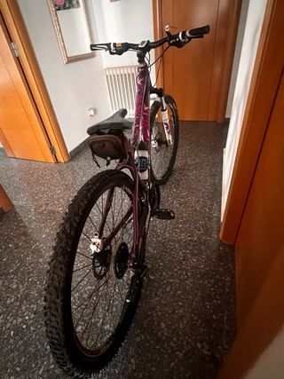 Bicicleta Giant Mountain Bike Morada