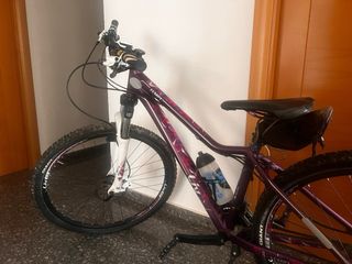 Bicicleta Giant Mountain Bike Morada