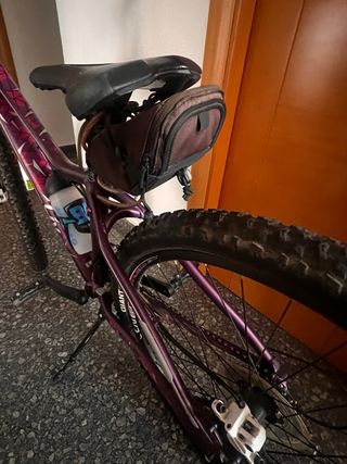 Bicicleta Giant Mountain Bike Morada
