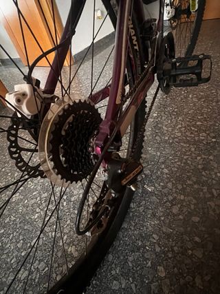 Bicicleta Giant Mountain Bike Morada