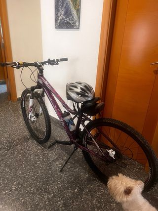 Bicicleta Giant Mountain Bike Morada