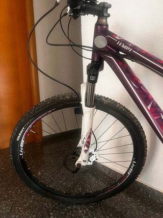 Bicicleta Giant Mountain Bike Morada