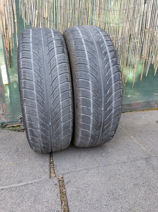Neumáticos 175/65 R14