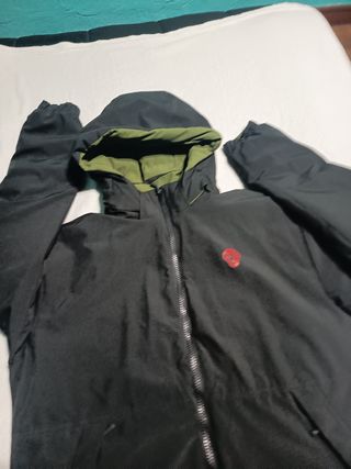 Plumas Athletic Verde