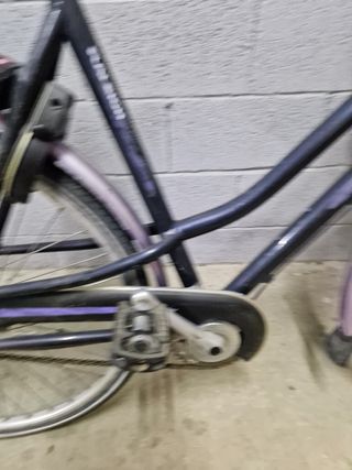 Bicicleta Paseo Holandesa Raleigh Derby
