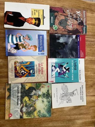 Libros lectura E.S.O