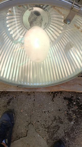 Focos Industriales ORNALUX