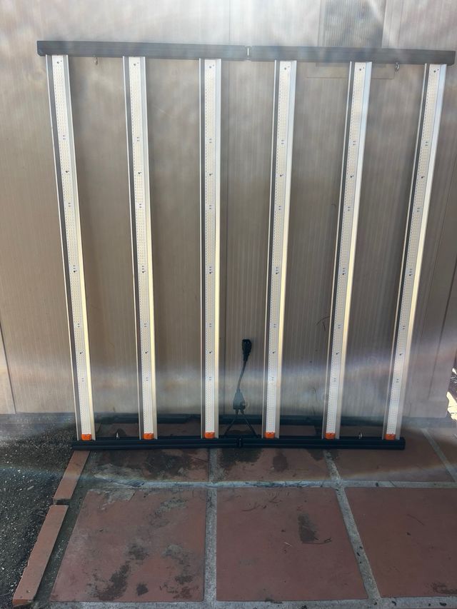 Lote de autoCultivo Indoor