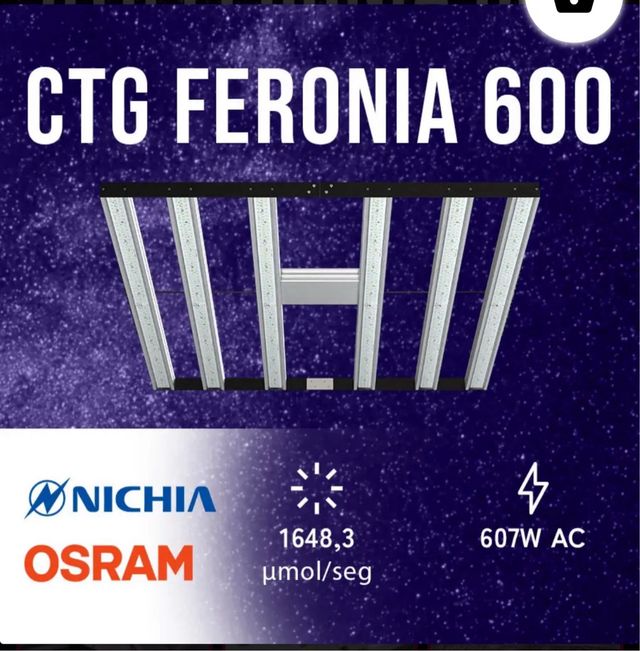 Lote de autoCultivo Indoor