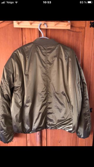 Bomber Springfield High Spirits Verde Oliva