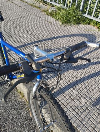 Bicicleta