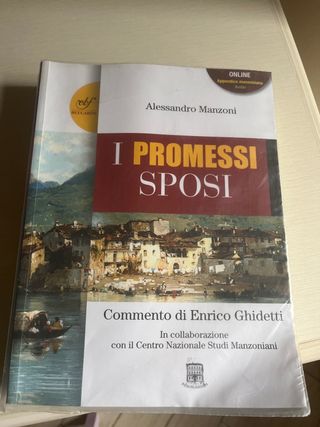 Libro promessi sposi liceo