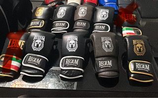 Guantes de Boxeo Regium