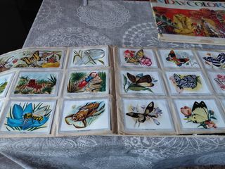 Álbum de cromos vintage.