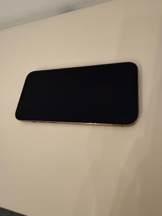 iPhone 12 Pro Max Plata
