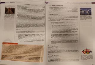 Filosofía. 1º Bachillerato