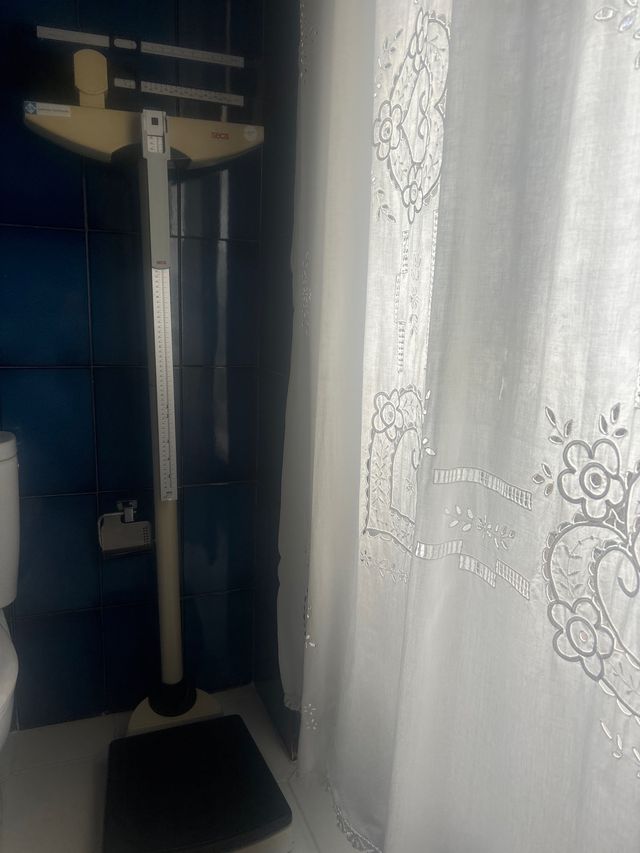 Báscula seca profesional