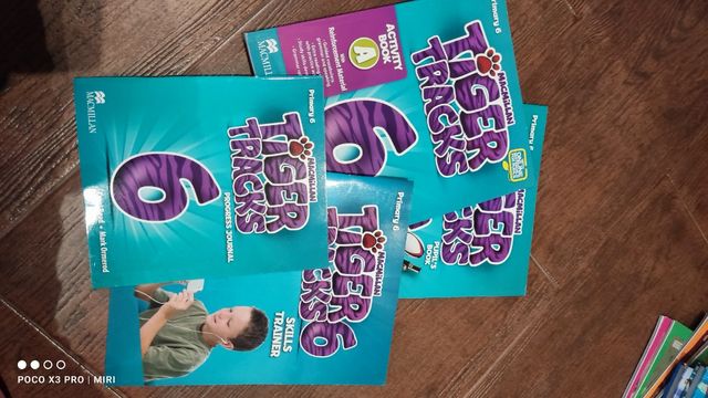 TIGER TRACKS 6. ACTIVITY BOOK A (2013)