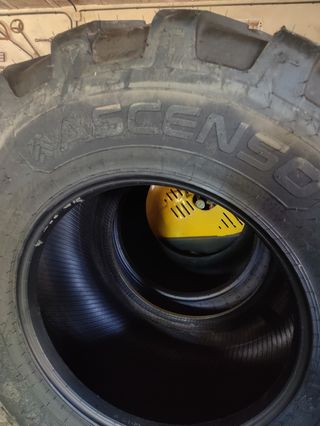 Ruedas/ neumáticos Ascenso 600/50 R22,5