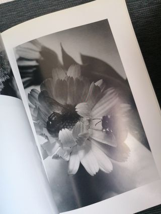 Emili Godes (Catalan and French Edition)