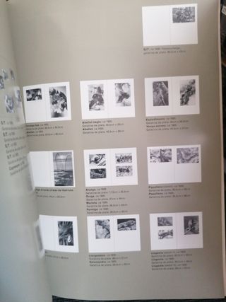 Emili Godes (Catalan and French Edition)