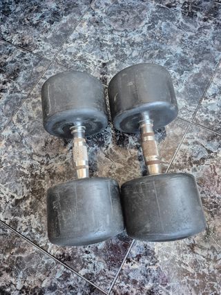 Mancuernas Salter 20kg