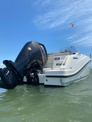 Quicksilver Activ 505