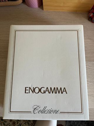 Camisón y bata de encaje blanco