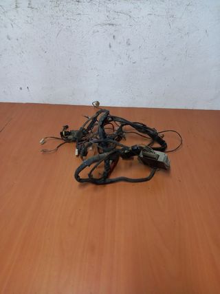 Cableado Piaggio Zip 49cc