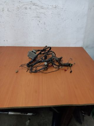 Cableado Piaggio Zip 49cc