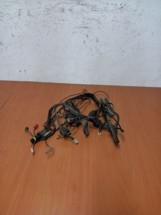 Cableado Piaggio Zip 49cc