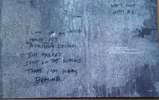 Suede Antidepressants Vinile Edizione Limitata