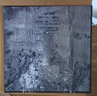 Suede Antidepressants Vinile Edizione Limitata