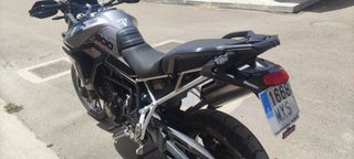 Trail Triumph Tiger 900 GT Pro 2025 