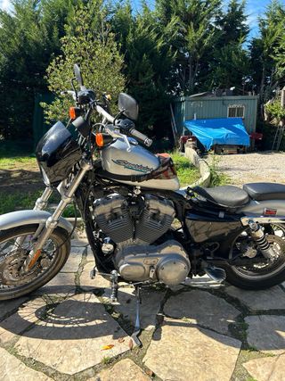 Harley Davidson Sportster XL Low 2006