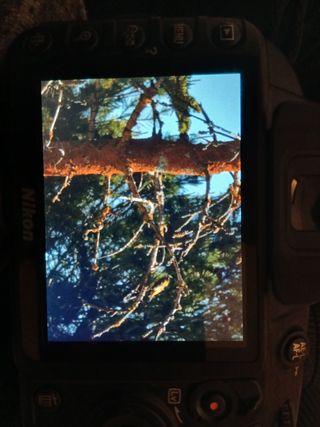 Cámara Nikon D3100 Negra