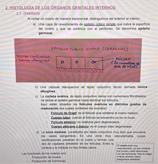 Apuntes Anatomía Patológica Grado Superior