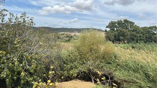 Parcela en Vejer de la Frontera,600 mts segregados