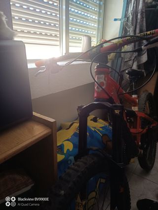 Bicicleta de montaña 