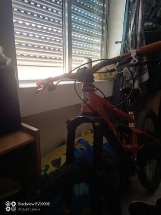 Bicicleta de montaña 
